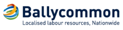 Site Engineer Logo