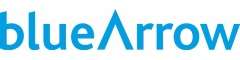 Aeronautical Engineers Logo